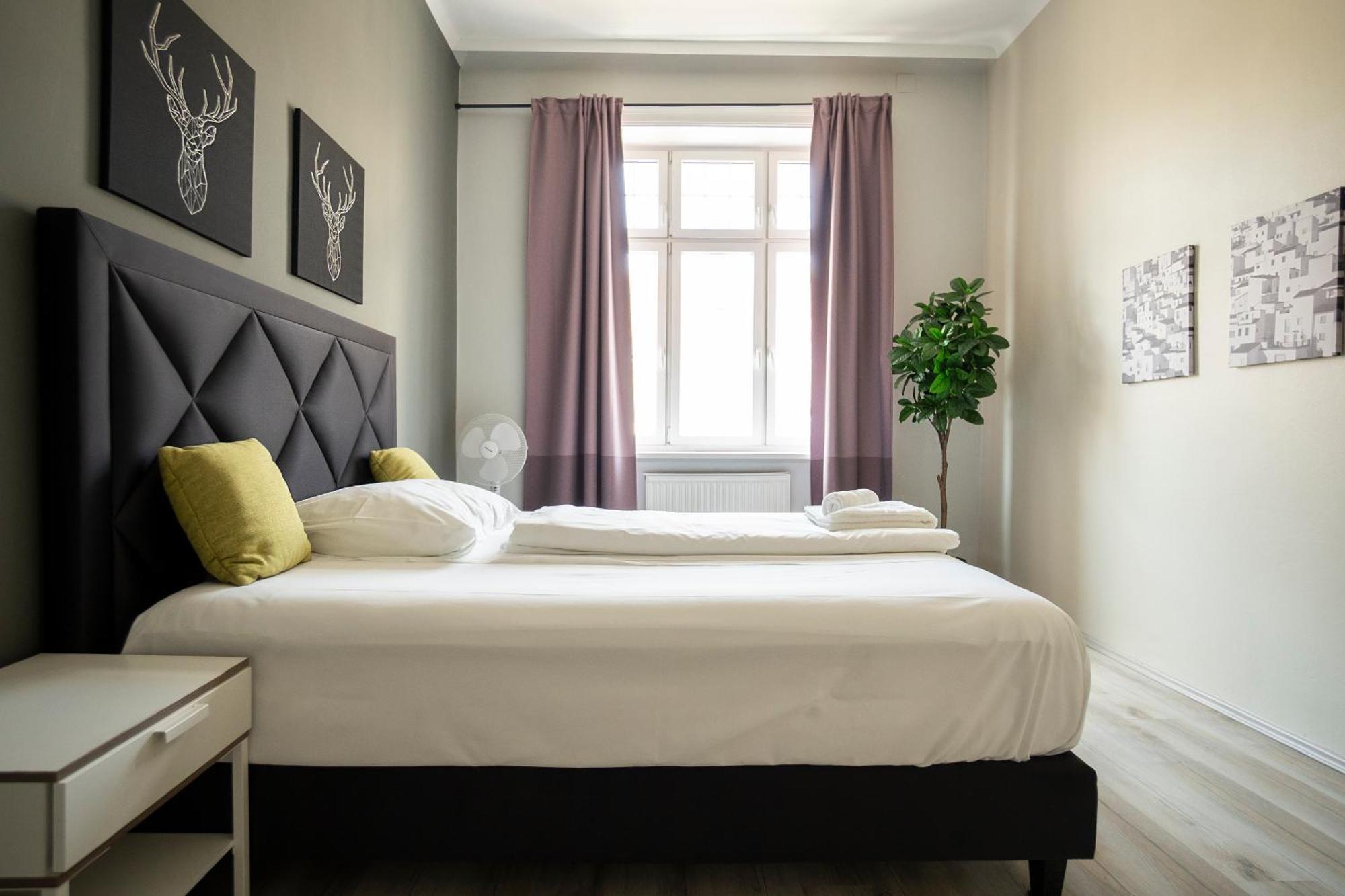 Brand New Renovated Appartment Near Augarten 维也纳 外观 照片